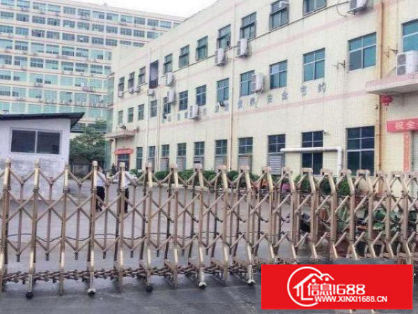 光明区原房东（近高速口独院）红本10000平厂房出租可分租