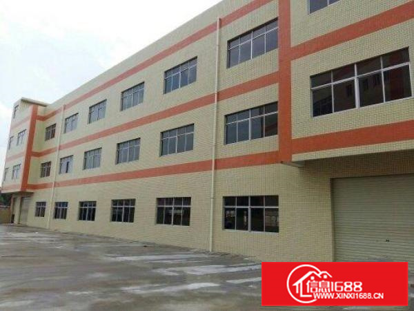 新圩10000m独院厂房出租