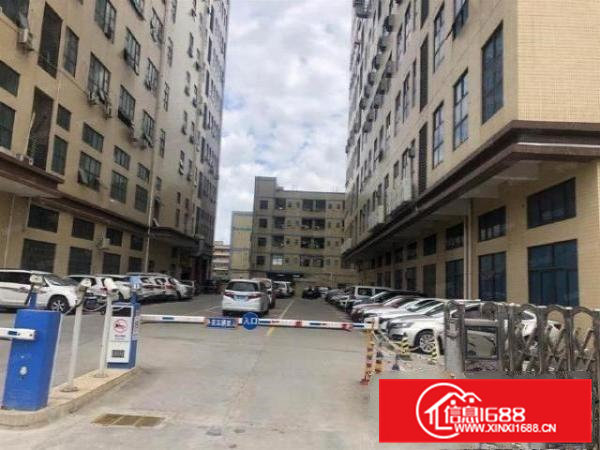 企石霞朗村五楼900平米带装修厂房出租水电到位