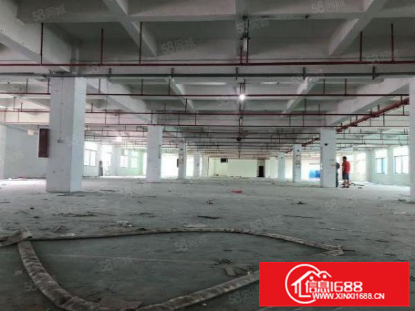 观澜福民茜坑原房东带喷淋厂房1至2层4800平可分租