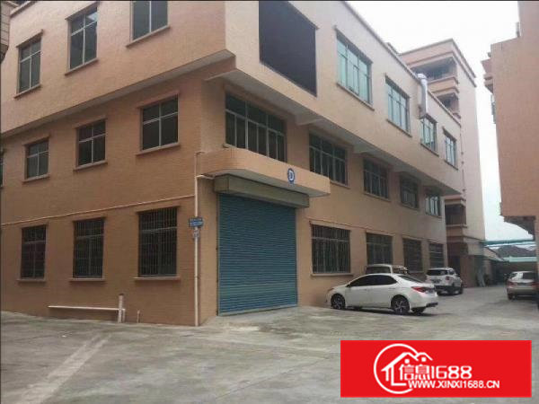 常平新出独栋厂房共二层1400平方，带牛角，地坪漆