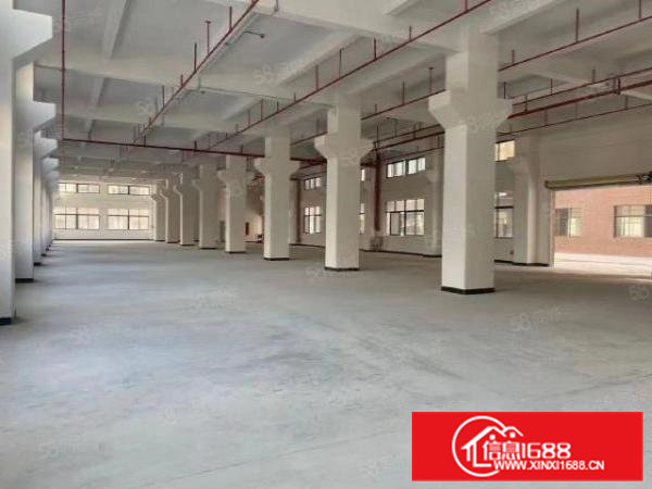 大朗镇富民工业城工业聚集区全新工业标准厂房招租