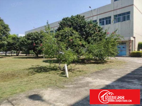 橫沥新出花园式独栋厂房，现成装修公摊小，原房东16元全包！