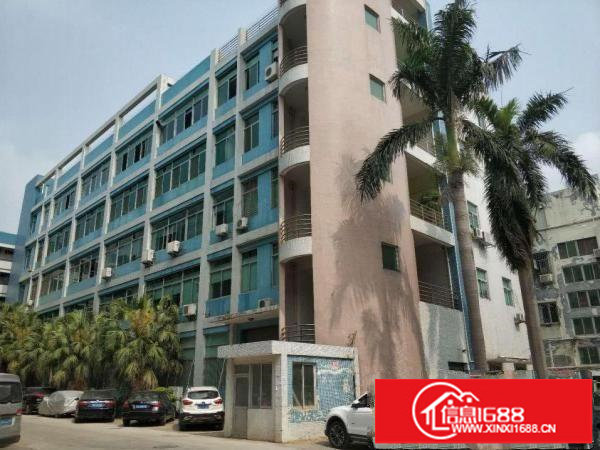 大康路600平米一楼招租，空地超大，适合各种生产和仓库客户