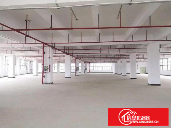 凤岗原房东6880平标准厂房招租楼层6.5米500平可分租