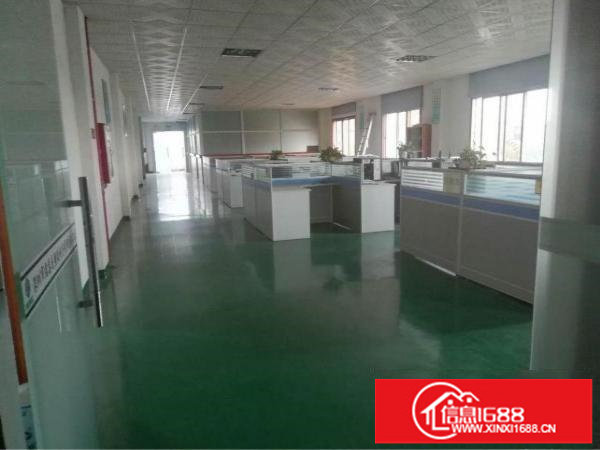 松岗东方村独院3层3000平米面积实在107国道边