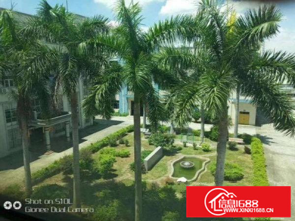 东莞市凤岗镇新空出花园式三楼厂房7000平米出租