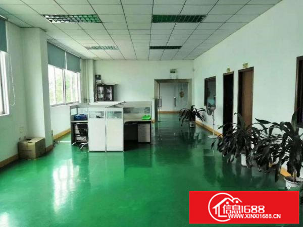 小面积客户福音！坪山碧岭工业园区内新出楼上450平