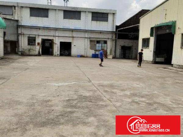 横沥镇新出单一层独院