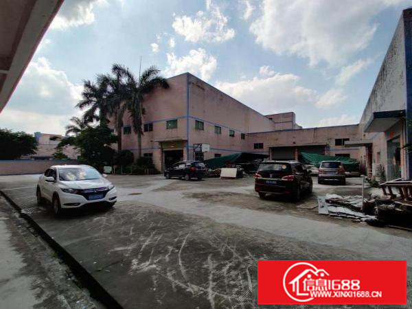 坪山独院钢构滴水10米2770平带有现成精装办公室