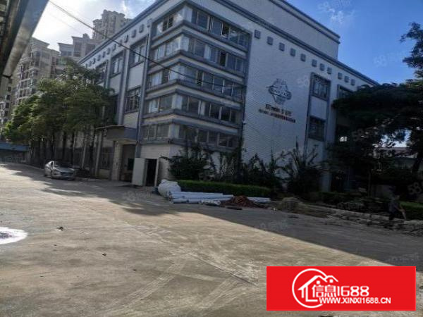 茶山原房东标经典独院厂房13层4700，带消防喷淋，