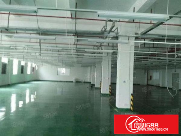 清溪原房东标准二楼800平方带水电办公装修急租