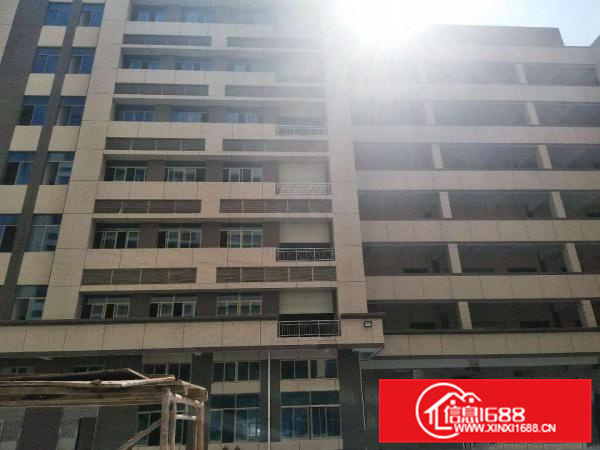 可做商业可做厂房！带消防喷淋！全新独院厂房出租！