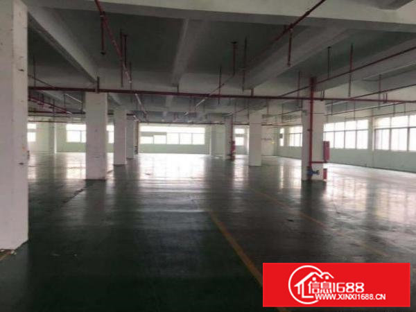 高埗标准一楼厂房750或1200平方出租空地大，水电齐全