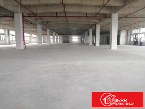 容桂800方独门独院标准厂房出租交通方便可办环评