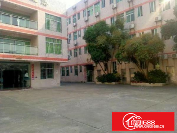 兴业西路主道干4800平，带牛腿