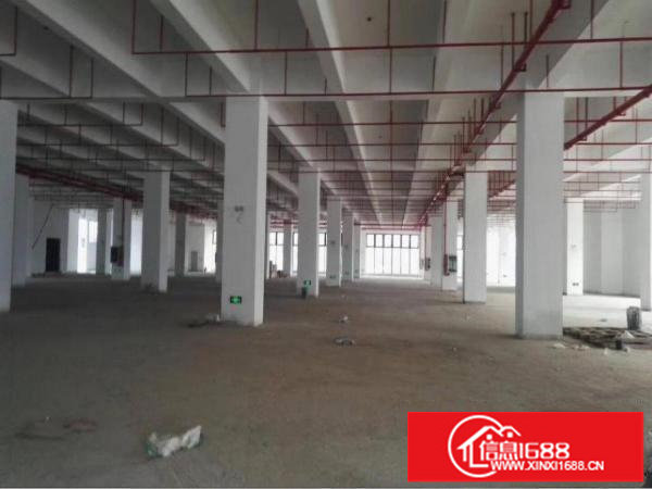 龙岗3000平方独院出租