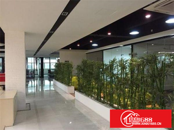 新出独门独院厂房出租带办公空地大交通方便