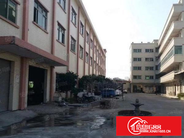 寮步周边镇独门独院原房东总面积5600平方招租