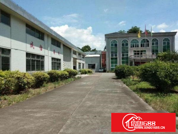 出租龙岗区茂兴路楼下仓库厂房800平方，进出车方便