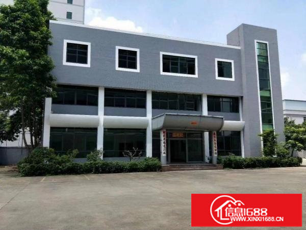 松岗原房东独院一二层3000平方无公摊