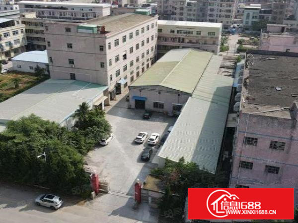 横沥东部快速旁单一层8米独门独院3000平米厂房出租