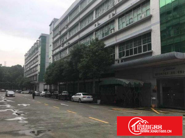 横沥全新楼上1400平方厂房出租带消防喷淋