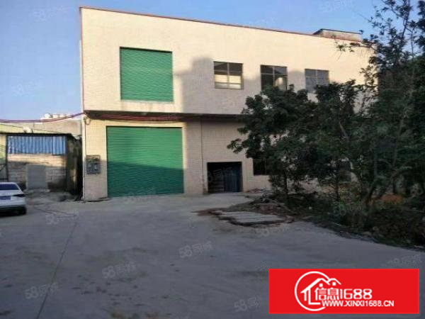 大岭山原房东全新独栋650平方标准厂房出租无公摊水电齐全