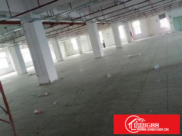 一二楼厂房4000平出租大小可分租，楼上100平起租！