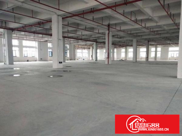 大岭山杨屋新出标准原房东可分租厂房3000平米一层可分租