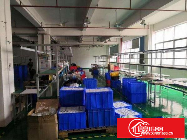 横岗六约带装修厂房出租1400平方，9成新地坪！