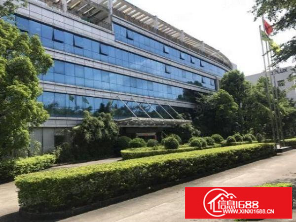 坪山高薪产业园400平起租带现成装修可申请补贴一楼滴水6米