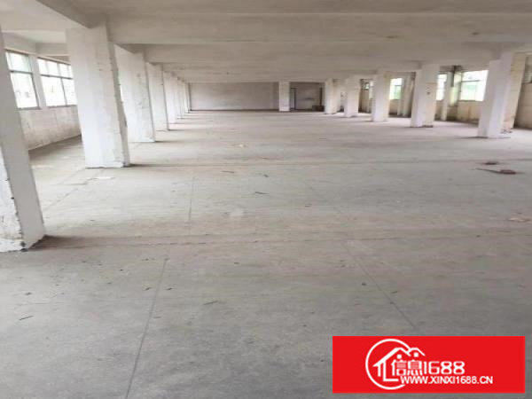 平湖辅城坳新出1楼1300平方厂房急租