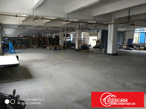 松岗山门1300平厂房出租，公摊小，可环评，实图