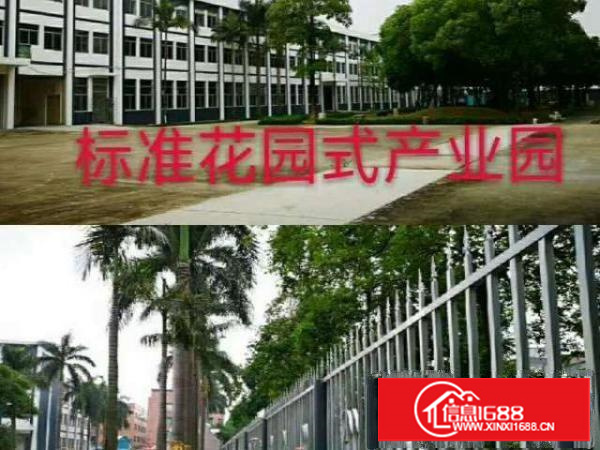 高埗花园式独院标准厂房总面积45000平方出租可分租