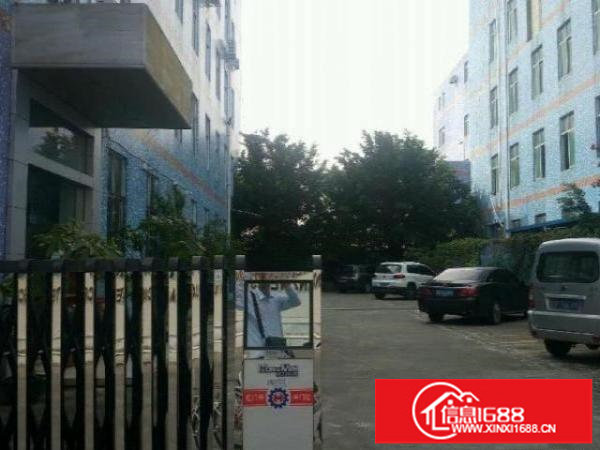 龙岗中心城龙西北通道带装修厂房500平出租