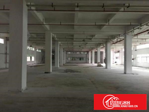 万江石美独院标准厂房一楼1500平方精装办公室出租