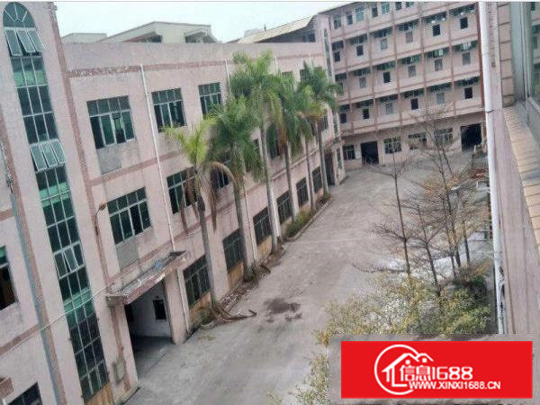 凤岗官井头一楼5500平方标准厂房出租，八米层高