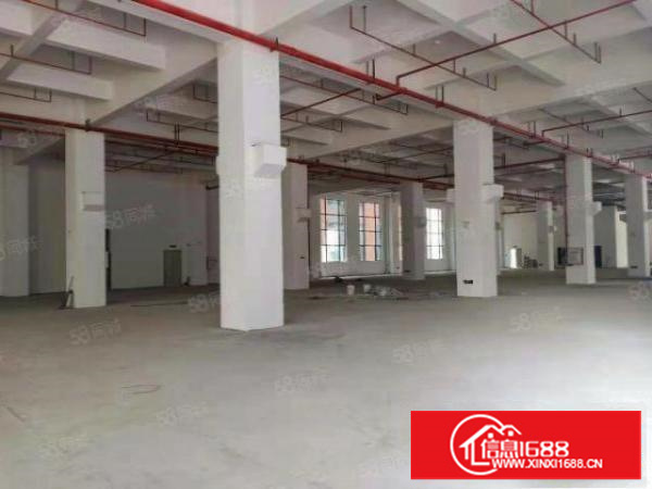 主干路边原房东独门独院标准三层厂房工业用地喷淋消防