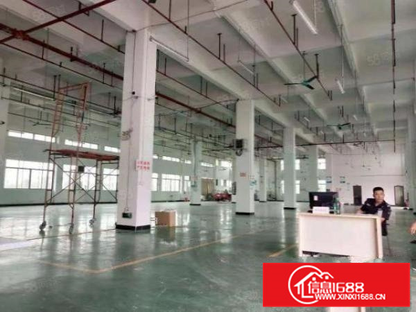 北滘标准一楼招租1450方空地大独门独院能过环评B