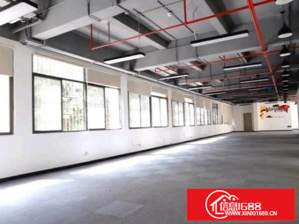 民治红本厂房独门独院毗邻深圳北坂田星河Word