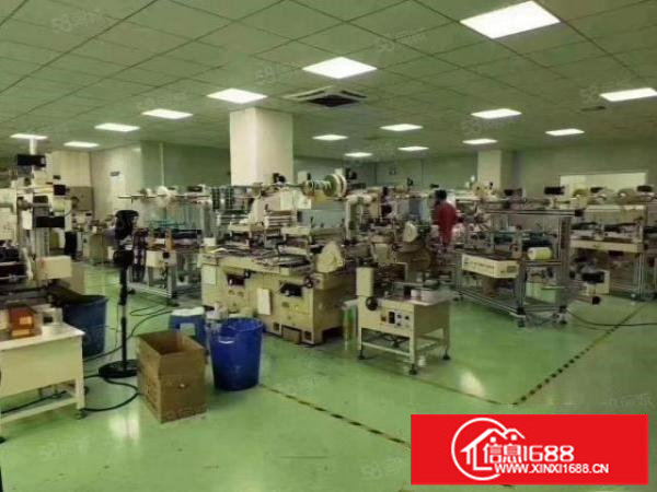 福永原房东厂房680平全新豪华装修空地超大独门独院