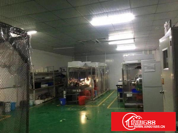 布吉华兴工业区新出楼上400平带装修厂房出租