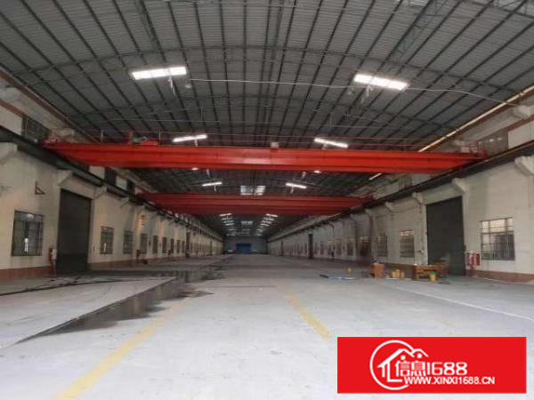 三水白泥独门独院厂房