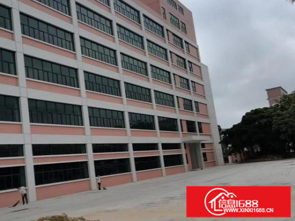 环境优美，全新厂房分租，需要的可以联系我