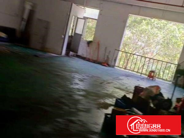 石岩石龙仔工业区厂房分租