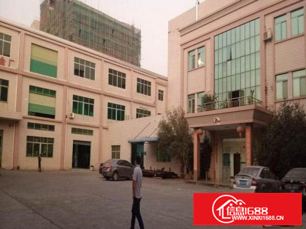 大朗原房东独门独院标准厂房