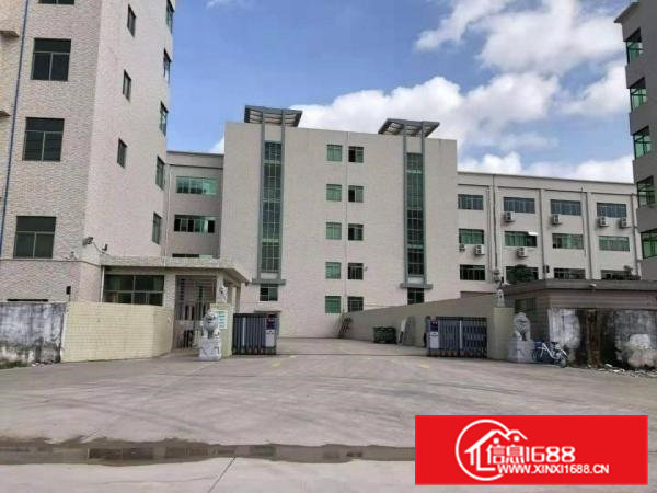 （招租）大朗工业园新空出标准3楼1000平厂房，带豪华装修