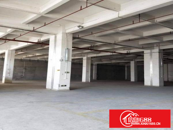 凤岗现有大量一楼厂房出租500到10000平方