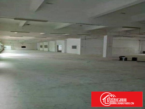 塘厦龙背岭新出独院厂房4900平方办公楼600平方